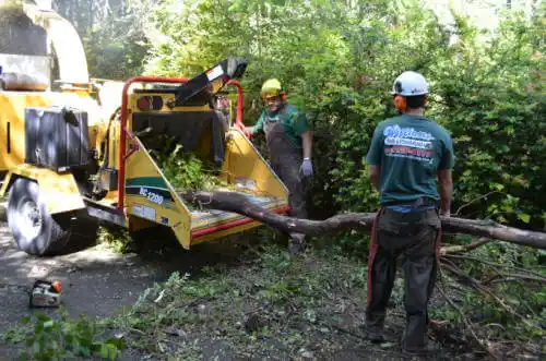 tree services Ringgold